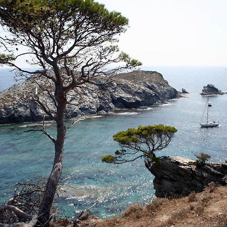 T2 Vue Mer 50M De La Plage A Giens Hyères Zewnętrze zdjęcie