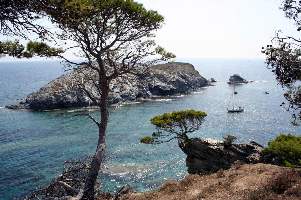 T2 Vue Mer 50M De La Plage A Giens Hyères Zewnętrze zdjęcie